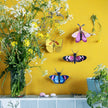 Peacock Butterfly