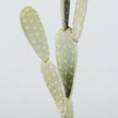Penka Artificial Cactus Potted Plant 26''