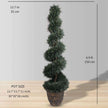 Perth Faux Potted Spiral Boxwood Topiary Plant (Multiple Sizes)