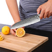 HAGAKURE 20 | Japanese Santoku Knife 8