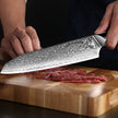 HAGAKURE 20 | Japanese Santoku Knife 8