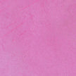 Pink Ink Designs Stardust 10ml