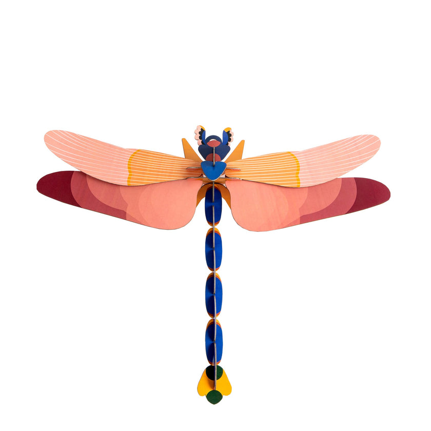 Pink Dragonfly