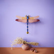 Pink Dragonfly