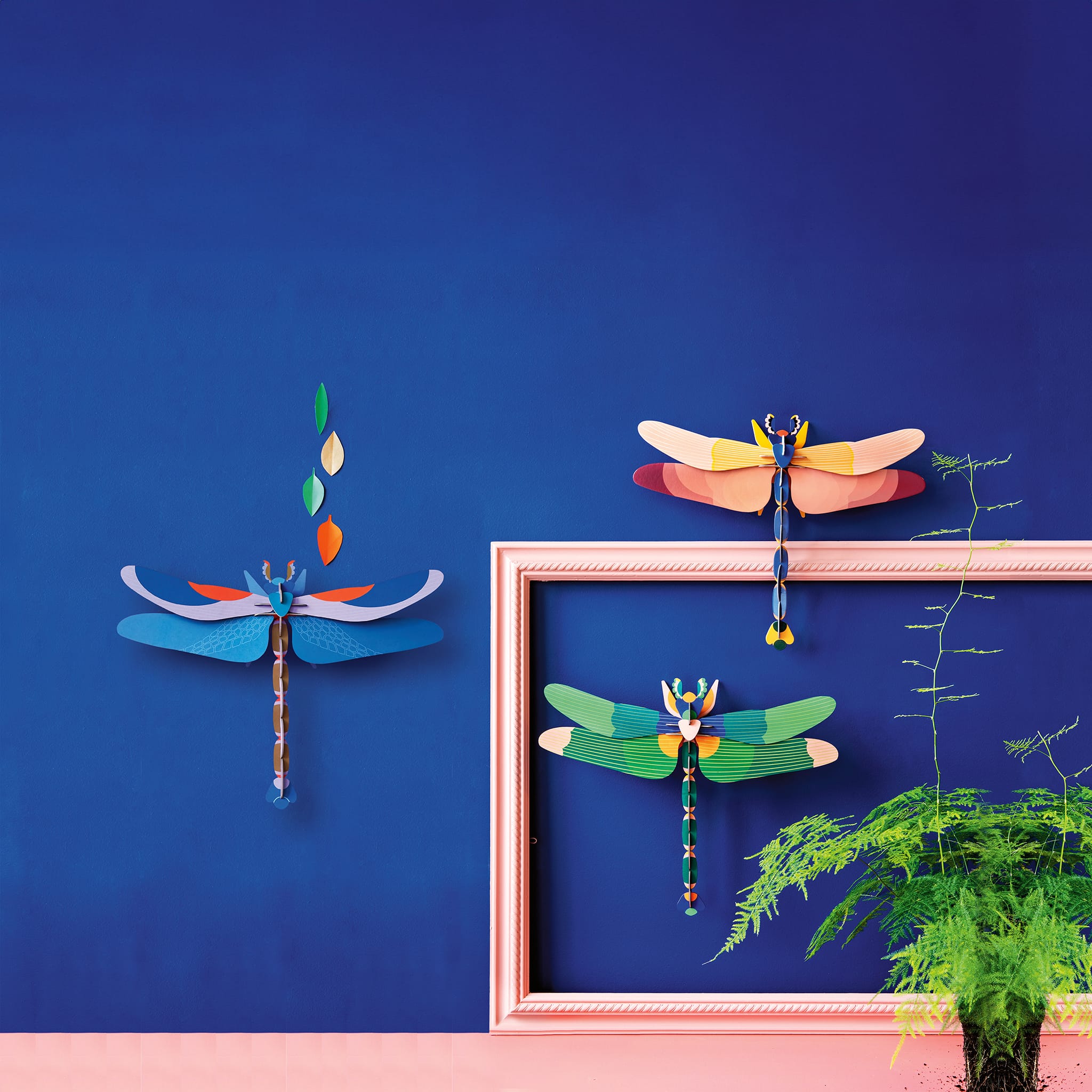 Pink Dragonfly