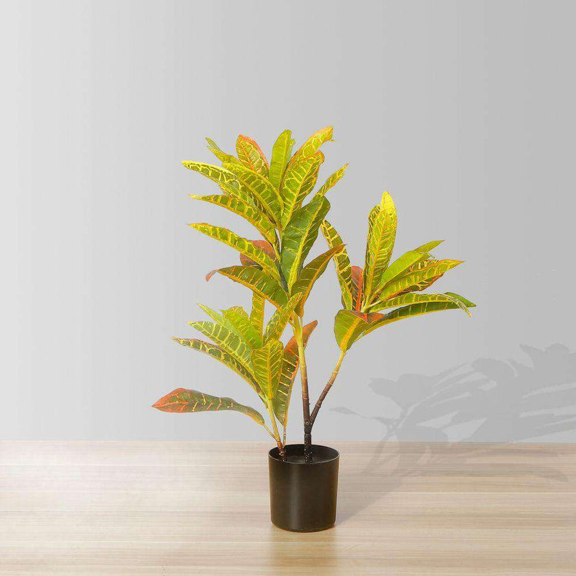 Pinto Artificial Crotons Potted Plant 22