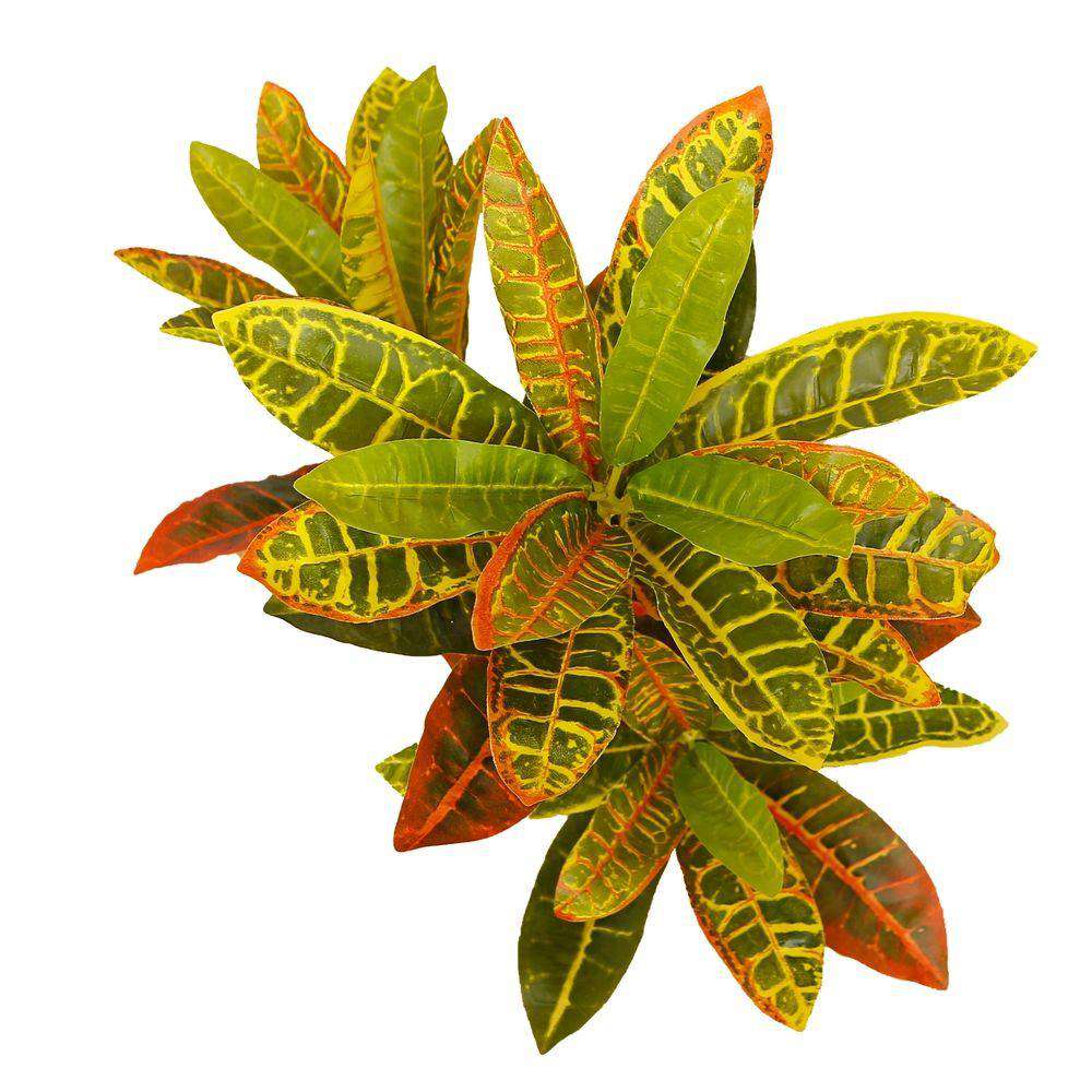 Pinto Artificial Crotons Potted Plant 22