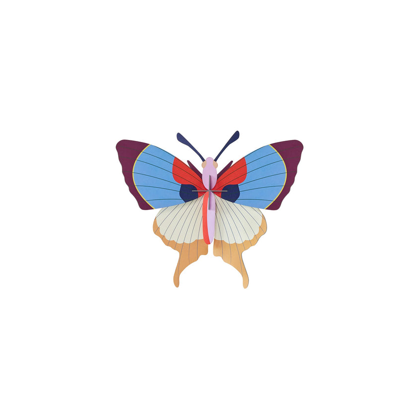 Plum Fringe Butterfly