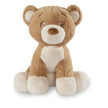 PLUSH - BEAR - BERT 16