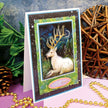 Midnight Forest Pocket Pad