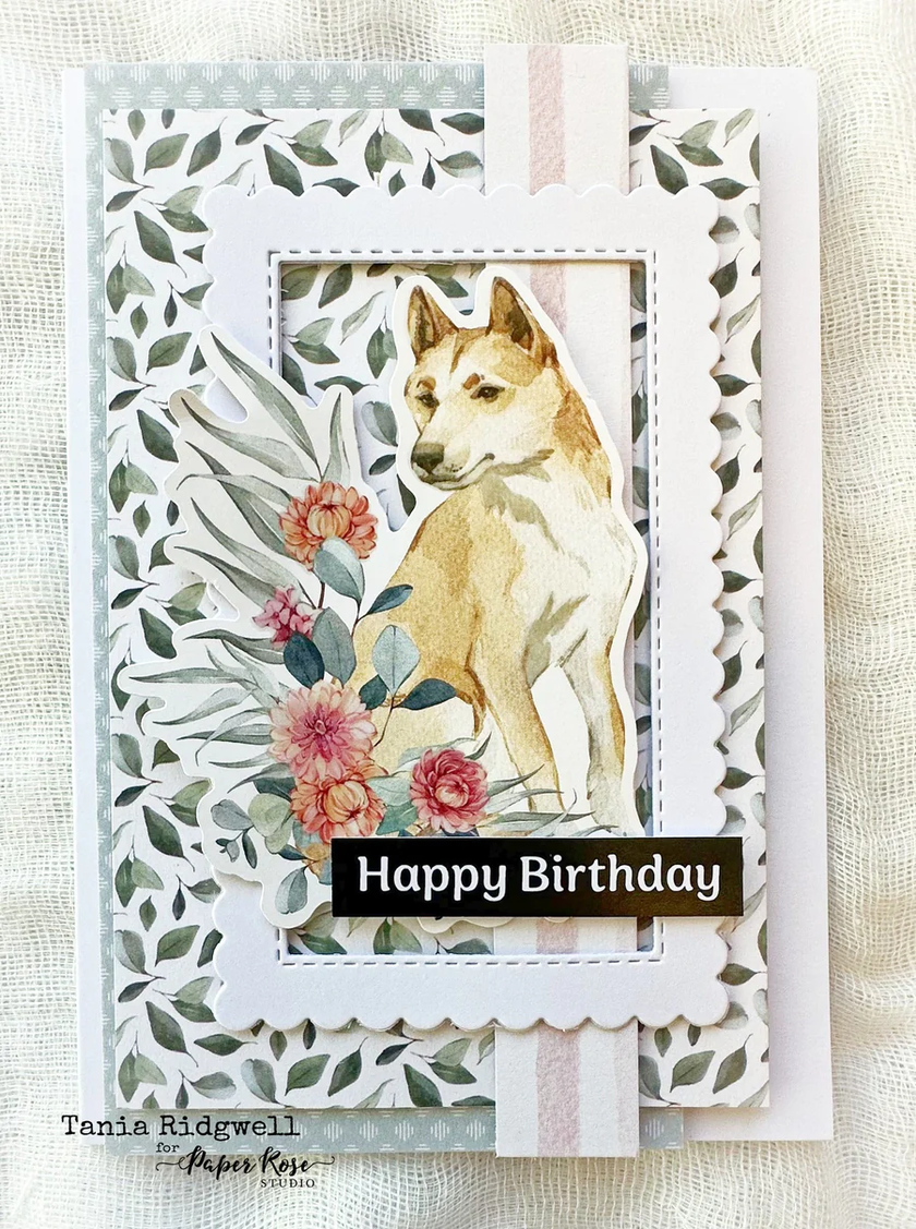 Outback Friends Die Cuts 31160
