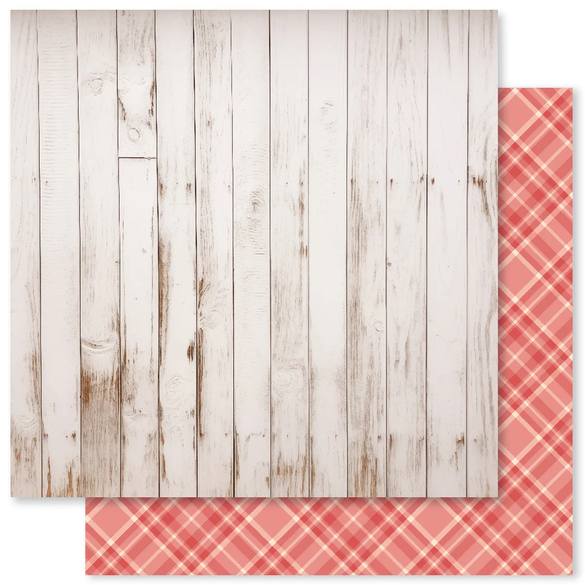 Animal Love F 12x12 Paper (12pc Bulk Pack) 31656