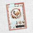 Farmhouse Friends Backgrounds 6x6 Paper Collection 32022