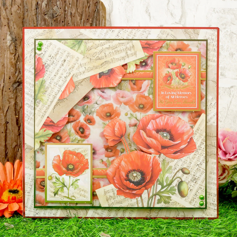Pretty Poppies 8