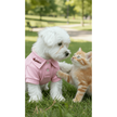Pink cotton shirt