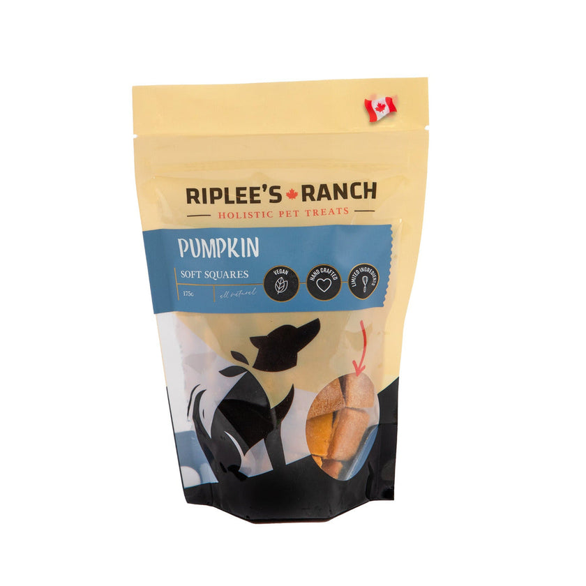 Pumpkin - Soft Square - Dog Treats