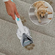 SHARK PX205CCO StainStriker Portable Carpet and Upholstery Cleaner - Factory serviced with 90 day
