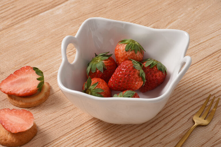 Pampa Bay - Ivy Melamine snack bowl