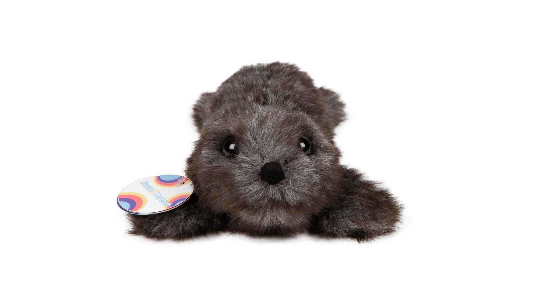 Passe-Partout - Plush- Biscuit De Canelle