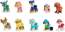Paw Patrol - 10Pc Figure Gift Pack