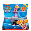 Paw Patrol - Primary Fig/Vehicles Assorted