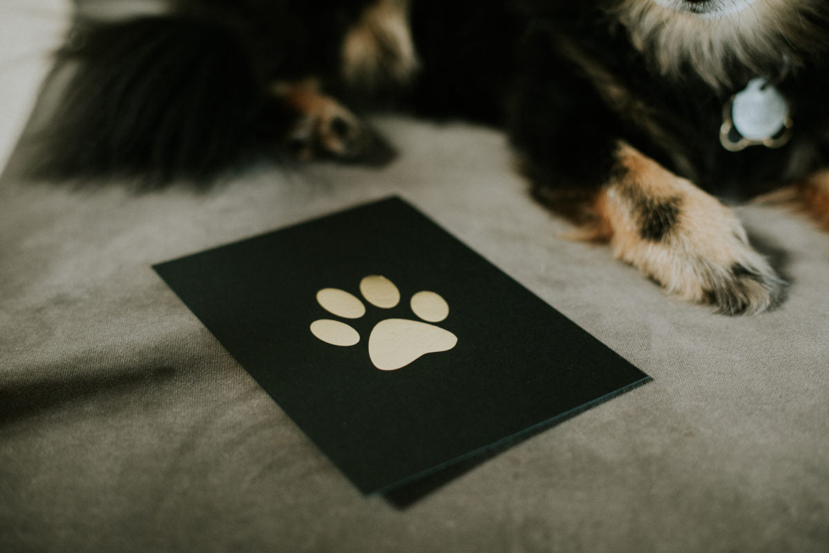 Paw Print