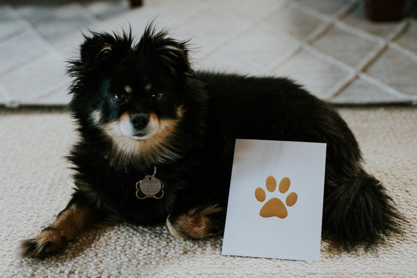 Paw Print