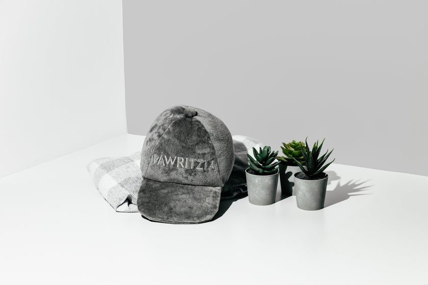 NEW LIMITED EDITION Pawty Animals Eco-Friendly Pawritzia Hat - Dog Toy