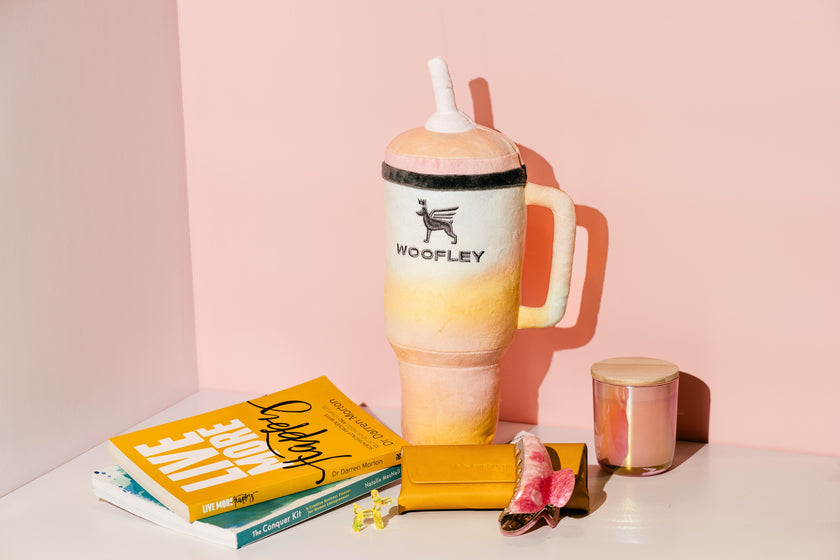 NEW LIMITED EDITION Pawty Animals Eco-Friendly Woofley Tumbler Dog Toy - Small
