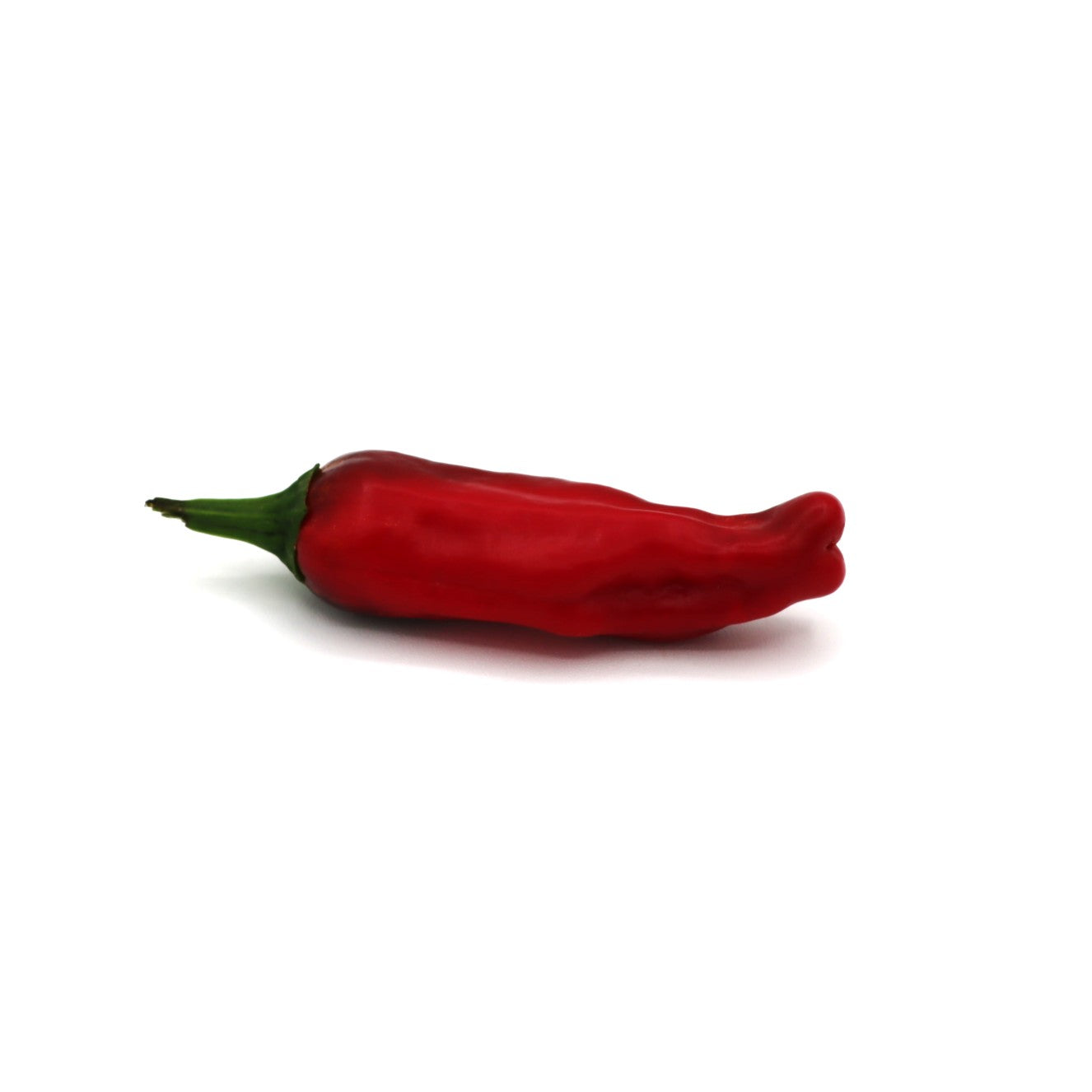 Sweet Peppers - Peperoncino - Fresh Harvest Fruiting Crop