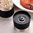 Pepper and salt manual grinder