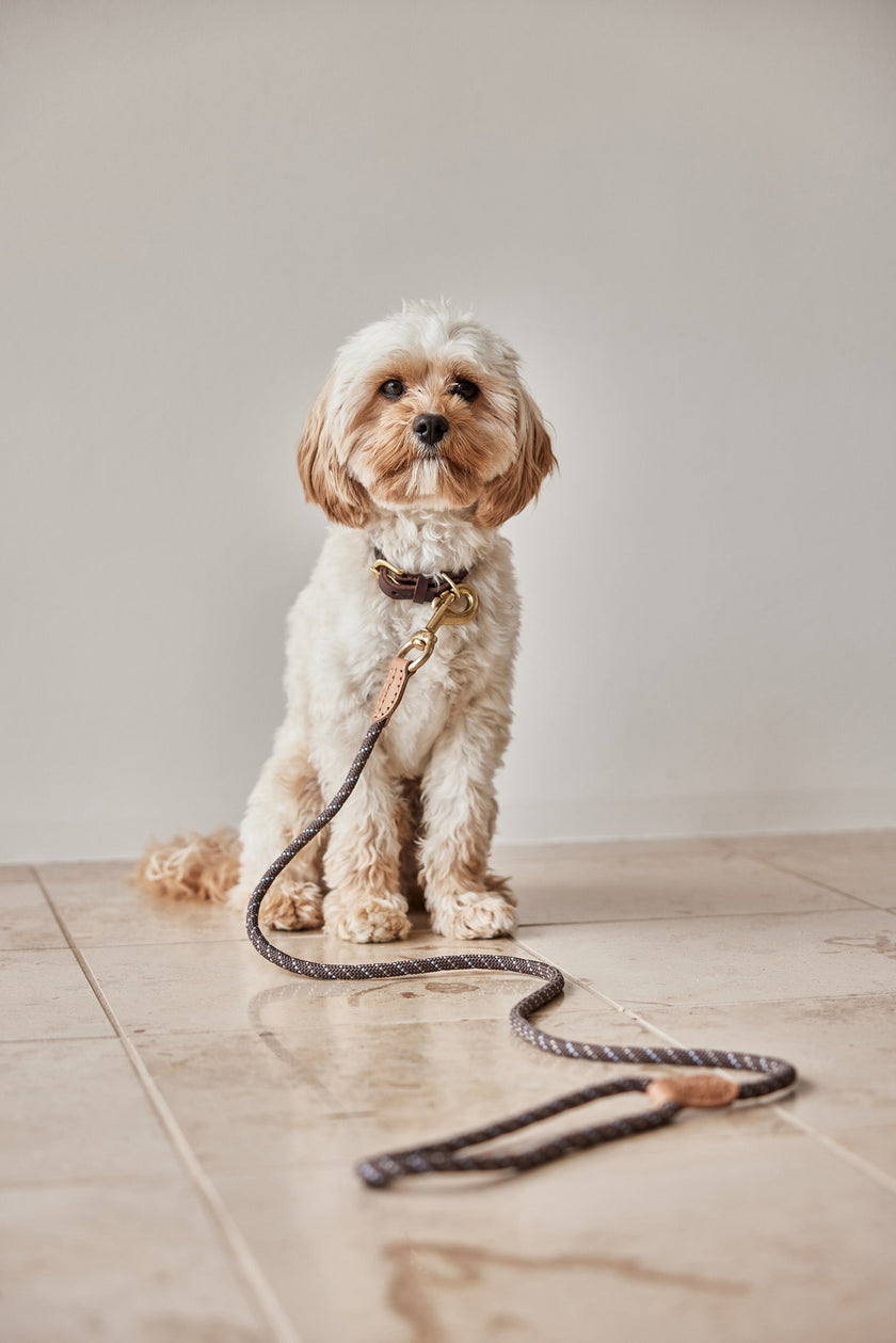 Perry Dog Leash