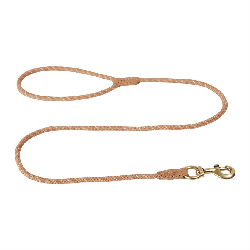 Perry Dog Leash