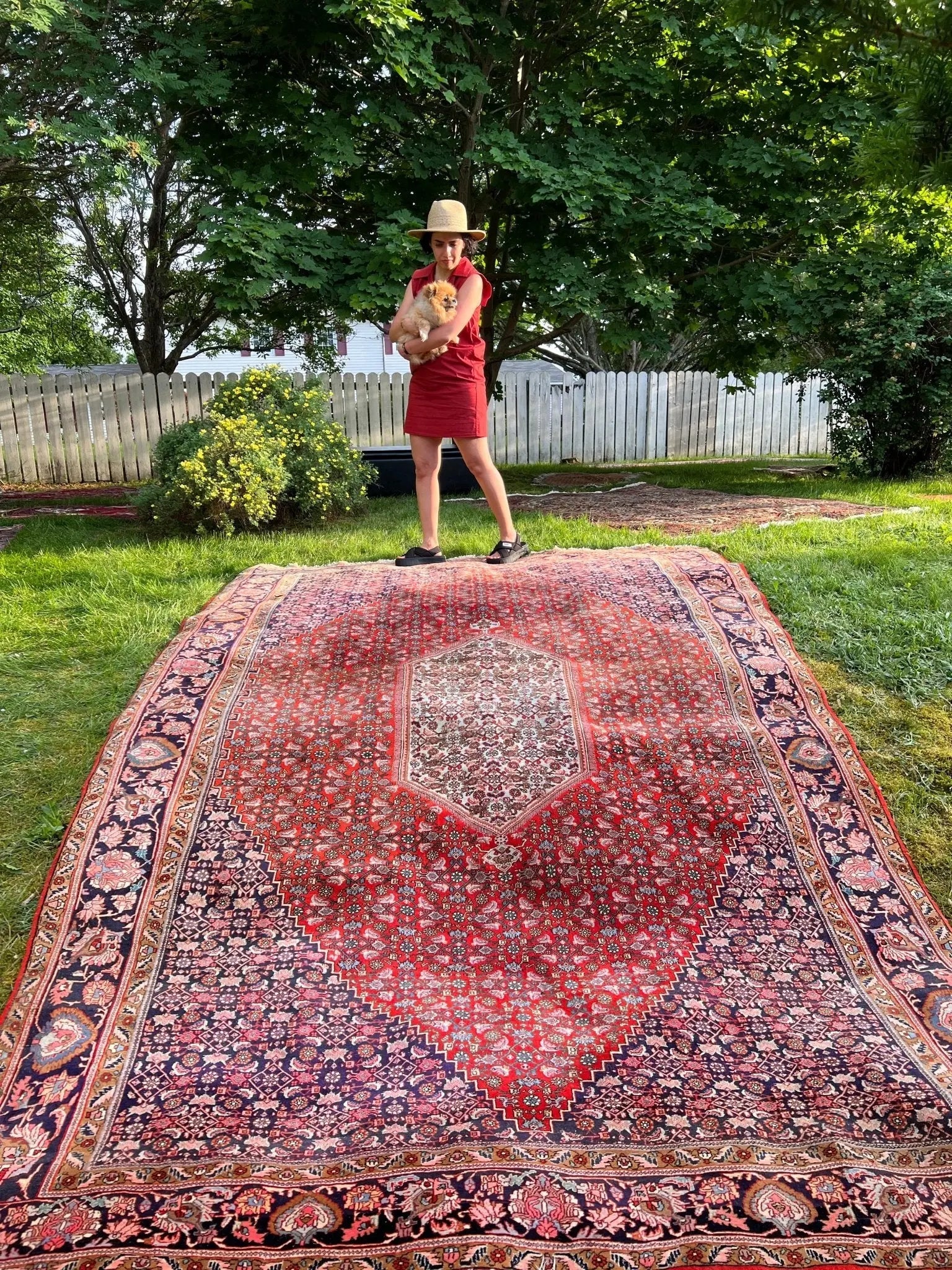 Persian Bidjar Rug | 7' 8