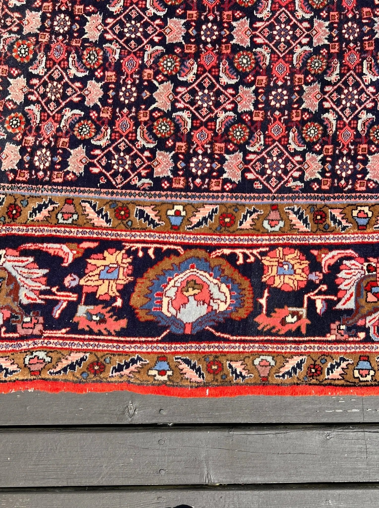 Persian Bidjar Rug | 7' 8