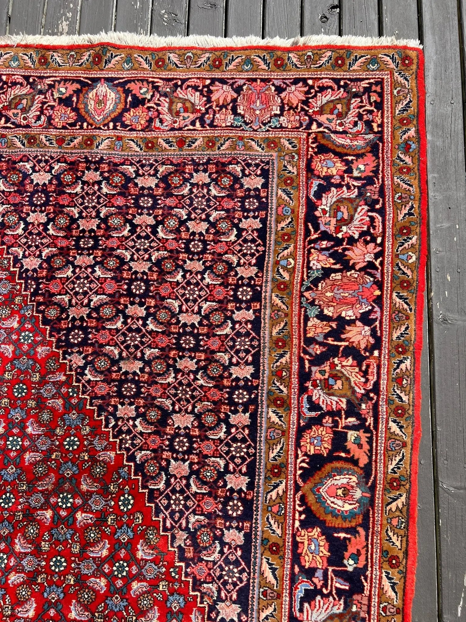 Persian Bidjar Rug | 7' 8