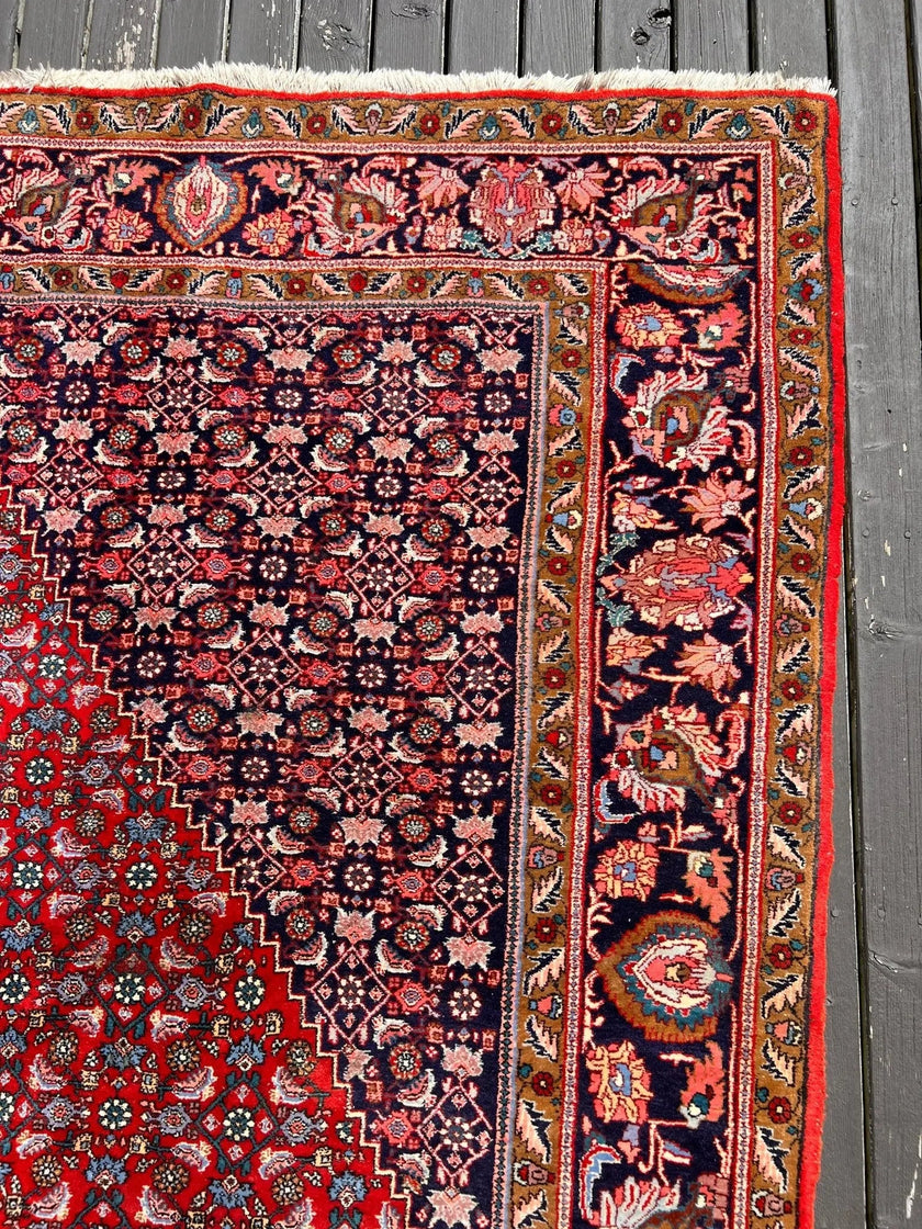 Persian Bidjar Rug | 7' 8