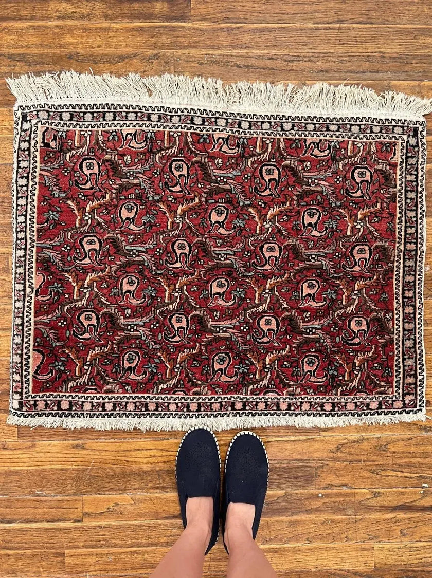 Persian Bijar Rug | 2' 2