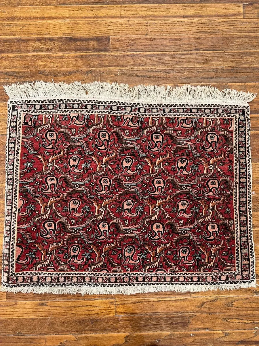 Persian Bijar Rug | 2' 2
