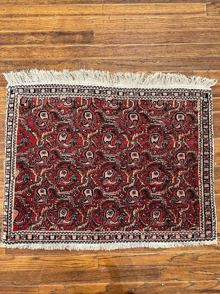 Persian Bijar Rug | 2' 2