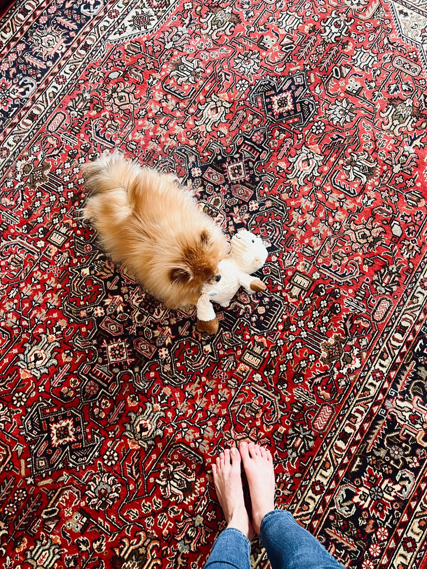 Persian Tabriz Azarshahr Rug | 9’ 8” x 6’ 4”