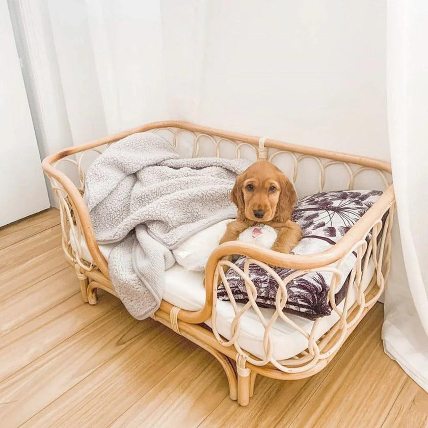 Handmade Rattan Woven Pet Bed Sofa – Boho Dog & Cat Bed | Trumpet, Circle, Square & Large