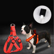 LED Luminous Dog Harness & Chest Strap – Night Safety Vest for Dogs | XS–XL