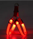 LED Luminous Dog Harness & Chest Strap – Night Safety Vest for Dogs | XS–XL