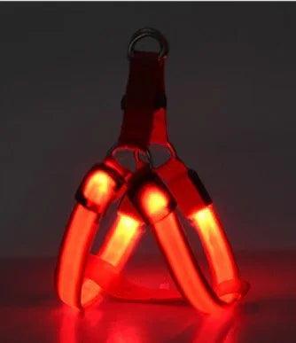 LED Luminous Dog Harness & Chest Strap – Night Safety Vest for Dogs | XS–XL