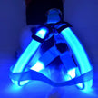 LED Luminous Dog Harness & Chest Strap – Night Safety Vest for Dogs | XS–XL