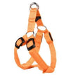 LED Luminous Dog Harness & Chest Strap – Night Safety Vest for Dogs | XS–XL
