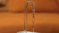 Pet Water Dispenser & Water Filter with a Fountain