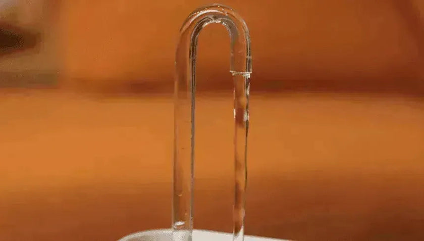 Pet Water Dispenser & Water Filter with a Fountain