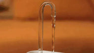 Pet Water Dispenser & Water Filter with a Fountain